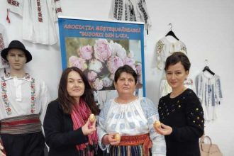 Cum reuseste o femeie dintr un sat sa oferelor lectii institutiilor de cultura care cheltuiesc bani publici fara a avea rezultate