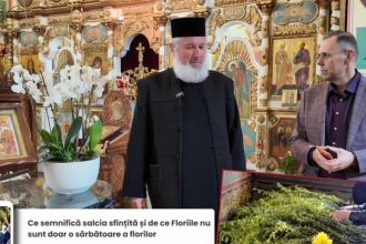 Duminica Floriilor Adevrul despre salcia sfintita protectie sau doar o superstitie