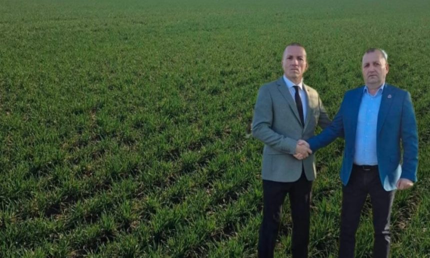 Imperiu agricol la Falciu doi frati investesc milioane si platesc chirie record