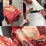 descoperire surprinzatoare la o macelarie din vaslui marfa confiscata si amenda considerabila
