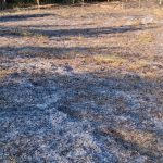 Doua incendii de vegetatie in mai putin de o ora in judetul Vaslui Pompierii au intervenit in Duda Epureni si Ciocani