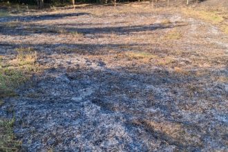 Doua incendii de vegetatie in mai putin de o ora in judetul Vaslui Pompierii au intervenit in Duda Epureni si Ciocani