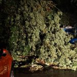Furtuna puternica in Vaslui copaci doborati peste masini acoperisuri rupta strazi inundate si localitati afectate de probleme la reteaua electrica