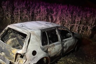 Incendiu la Buda 2000 de metri patrati de vegetatie si o masina au fost distruse de flacari