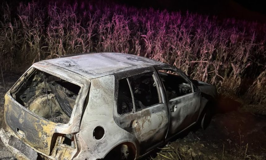 Incendiu la Buda 2000 de metri patrati de vegetatie si o masina au fost distruse de flacari