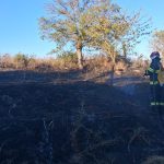 Incendiu la Carja flacarile au pus in pericol mai multe case Aproximativ 2000 de metri patrati au fost distrusi de foc