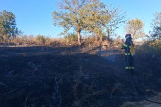 Incendiu la Carja flacarile au pus in pericol mai multe case Aproximativ 2000 de metri patrati au fost distrusi de foc