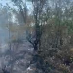 Incendiu puternic la Muntenii de Jos Sapte case au fost in pericol pompierii au actionat cu trei autospeciale