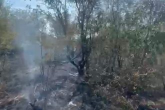Incendiu puternic la Muntenii de Jos Sapte case au fost in pericol pompierii au actionat cu trei autospeciale
