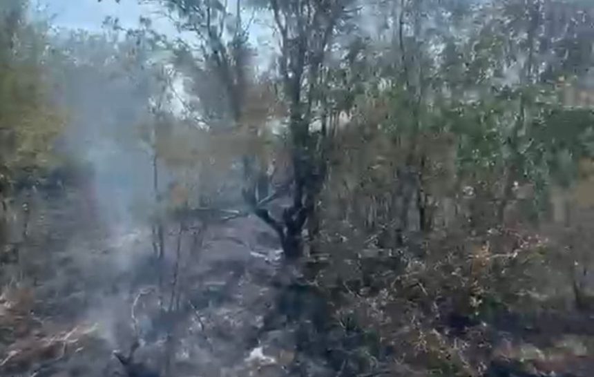 Incendiu puternic la Muntenii de Jos Sapte case au fost in pericol pompierii au actionat cu trei autospeciale