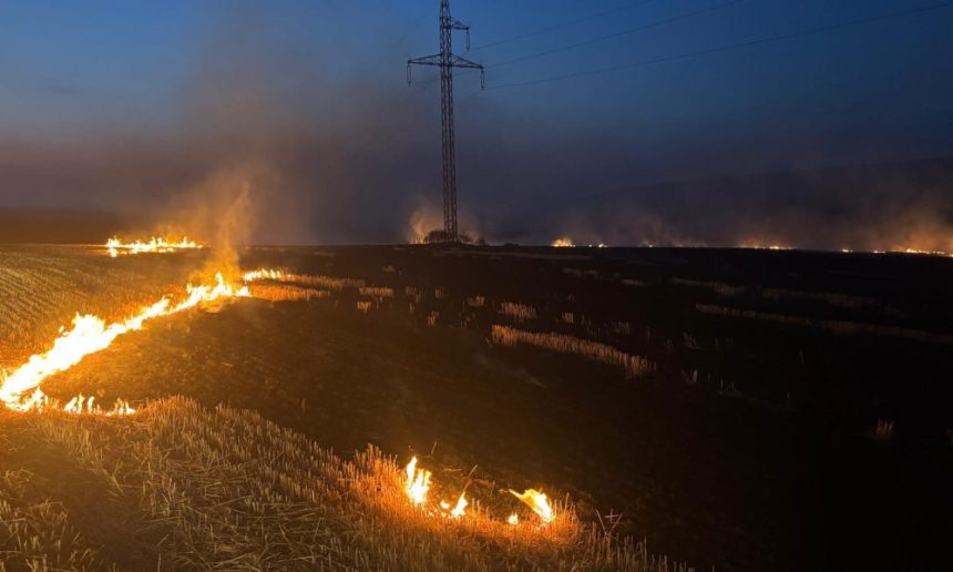 Judetul Vaslui devastat de incendii Numarul focarelor de vegetaie s a triplat iar suprafata afectata este de opt ori mai mare