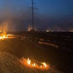 Judetul Vaslui devastat de incendiile de vegetatie Zeci de hectare au fost mistuite de flacari care au pus in pericol case culturi si o padure