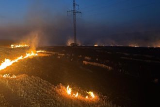 Judetul Vaslui devastat de incendiile de vegetatie Zeci de hectare au fost mistuite de flacari care au pus in pericol case culturi si o padure