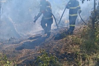 Seara cu incendii pentru pompierii din Husi Doua focare intra o singura ora patru case in pericol