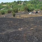 Zi de foc in judetul Vaslui incendii de vegetatie la Husi si Bunesti o casa ameniata de flacari