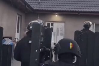 afacere de familie cu droguri in vaslui doua persoane din zorleni si horga retinute de diicot dupa perchezitii si confiscari de canabis si cocaina