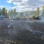 peste 20 de hectare distruse de flacari la granita dintre vaslui si iasi alte trei gospodarii au fost in pericol la moara domneasca