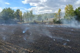 peste 20 de hectare distruse de flacari la granita dintre vaslui si iasi alte trei gospodarii au fost in pericol la moara domneasca
