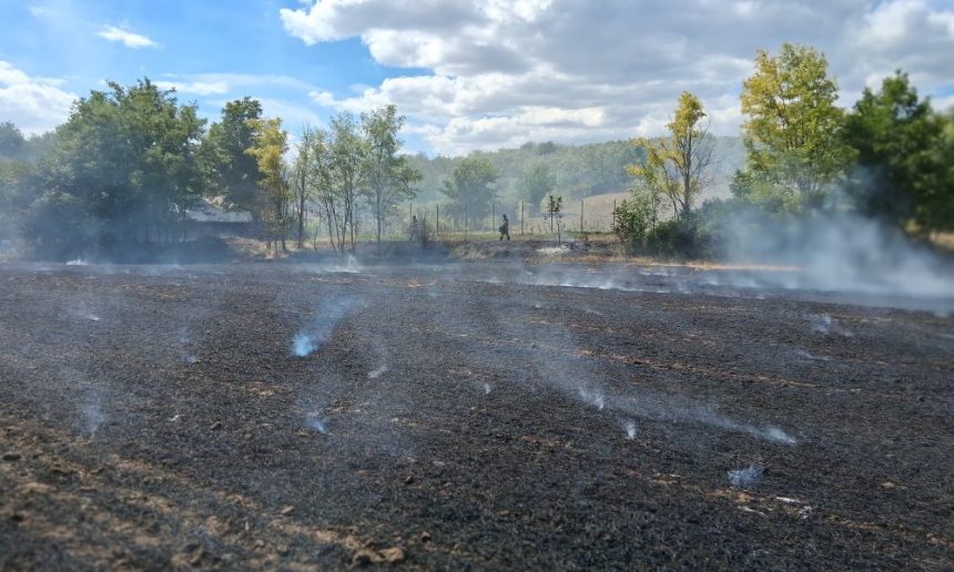 peste 20 de hectare distruse de flacari la granita dintre vaslui si iasi alte trei gospodarii au fost in pericol la moara domneasca