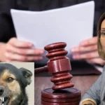 Arestat pentru autoapărare: avocata cere diferențiere între sadism și apărare