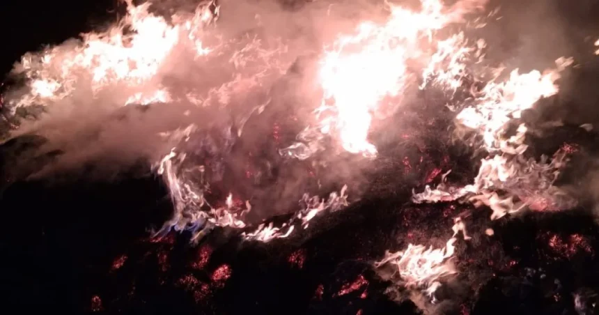 Incendiu la Stănilești: patru tone de furaje au ars