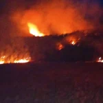 12 hectare de teren mistuite de flăcări la Buda. Incendiul se extindea rapid spre pădure