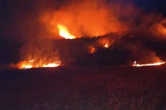 12 hectare de teren mistuite de flăcări la Buda. Incendiul se extindea rapid spre pădure