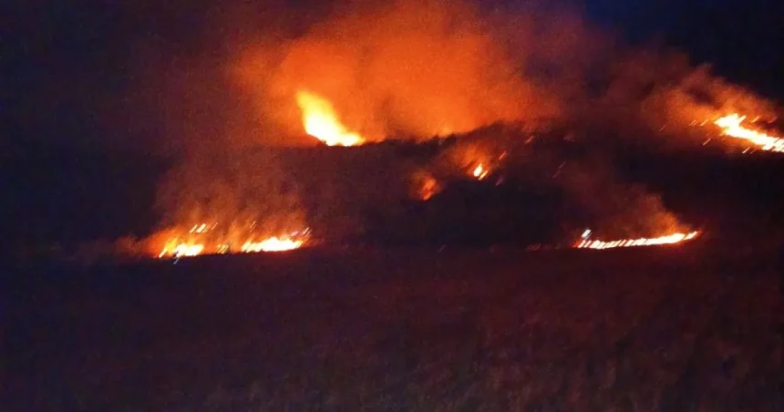 12 hectare de teren mistuite de flăcări la Buda. Incendiul se extindea rapid spre pădure