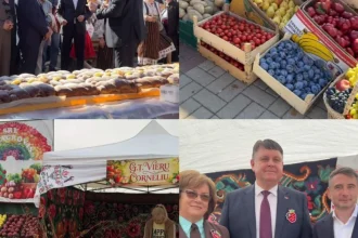 Vicepreședintele CJ Vaslui, la Festivalul Mărului de la Soroca